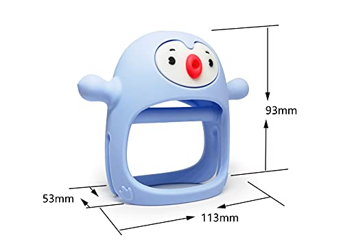 Baby Silicone Teething Toy (0-6m)
