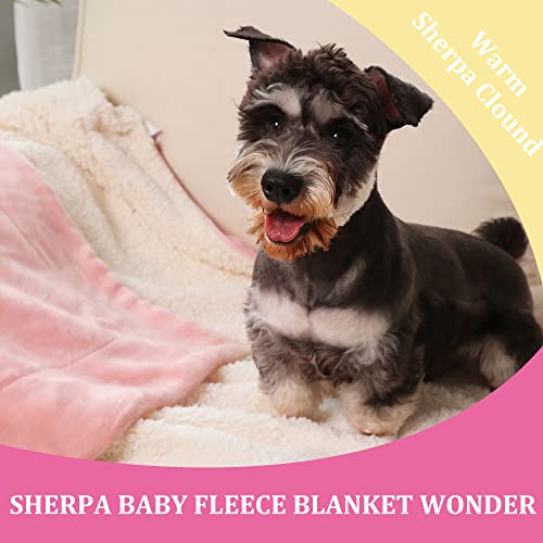 Baby Sherpa Soft Warm Blanket (30x40-inch)